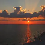 Tropic Winds 2305